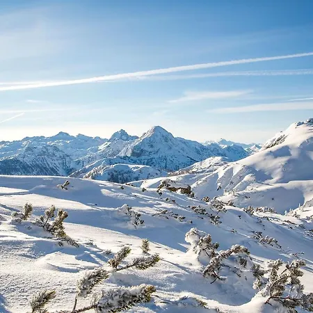 Natursinn Mountainchalets Aparthotel 4*