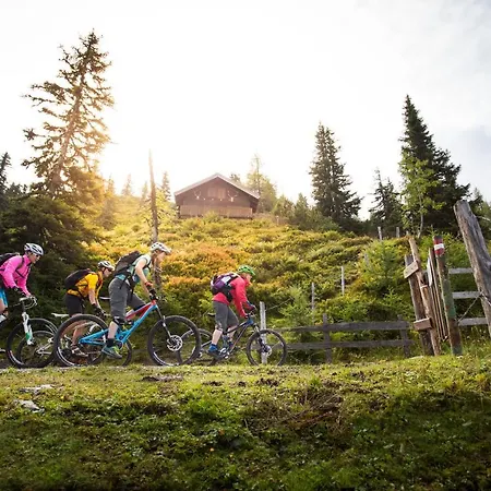 Natursinn Mountainchalets Flachau