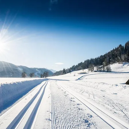 Natursinn Mountainchalets Апарт-готель