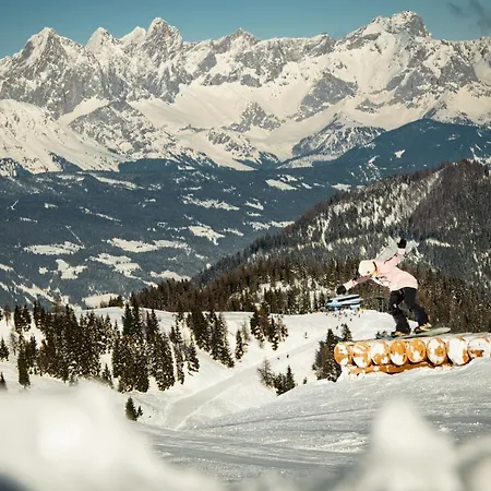 Natursinn Mountainchalets Апарт-готель Флахау