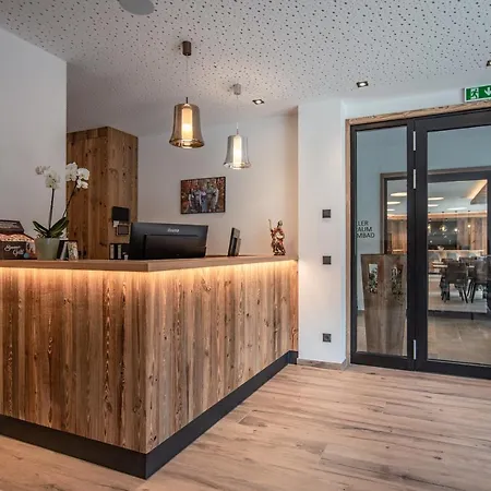 Appart hôtel Natursinn Mountainchalets Flachau