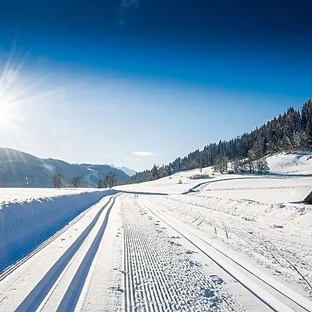Natursinn Mountainchalets Ξενοδοχείο με διαμερίσματα 4*