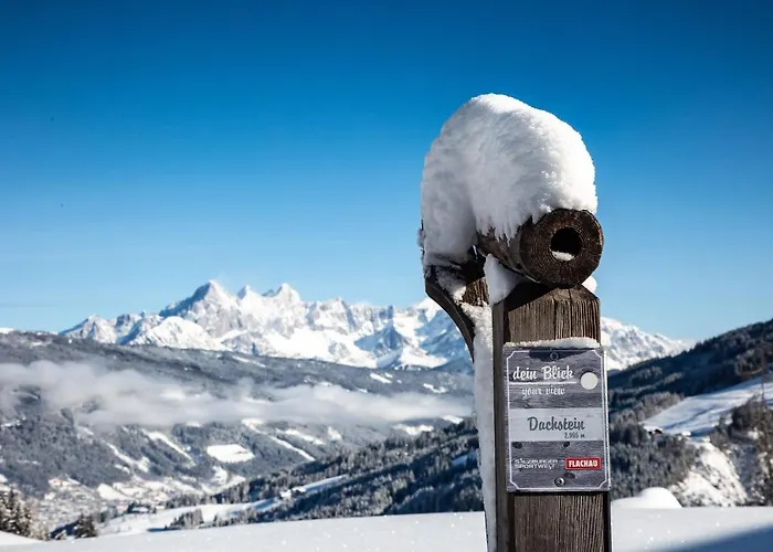 Natursinn Mountainchalets Aparthotel