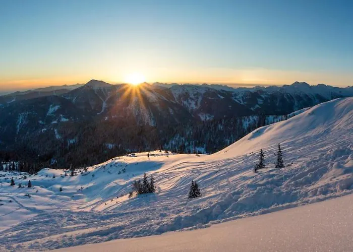 公寓式酒店 Natursinn Mountainchalets 4*