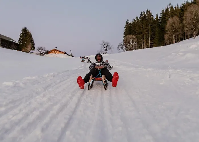 Aparthotel Natursinn Mountainchalets Flachau
