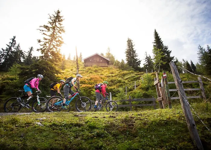 Natursinn Mountainchalets Flachau