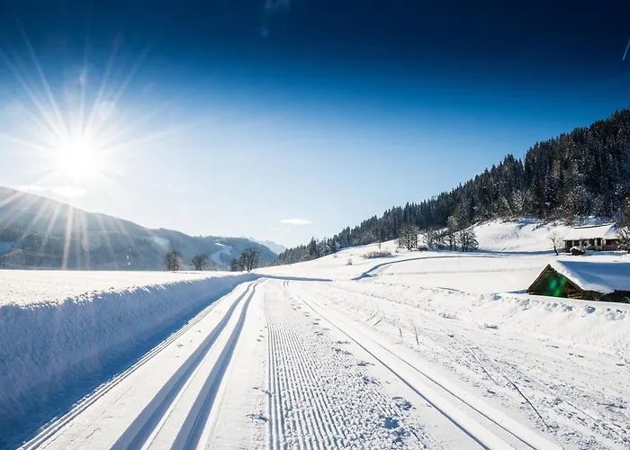 Natursinn Mountainchalets 公寓式酒店