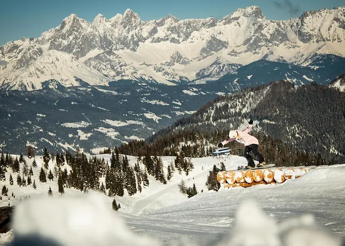 Natursinn Mountainchalets 公寓式酒店 弗拉绍